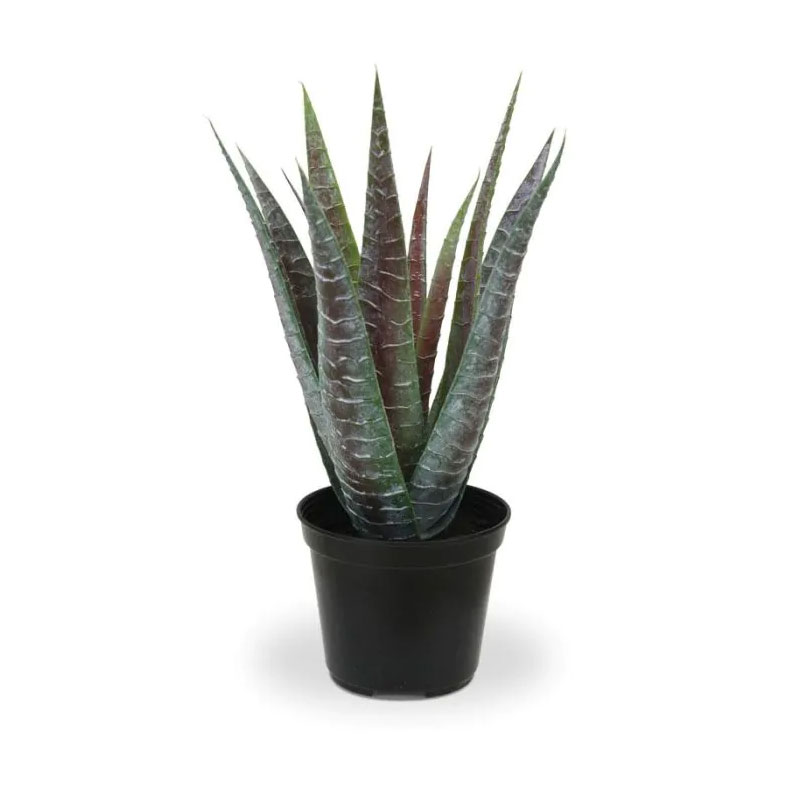 Kunstpflanze Aloe Vera | AD18100083